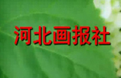 河北画报社传媒有限公司宣传资料